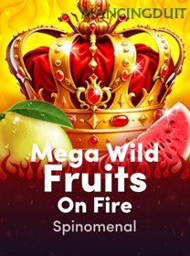 Mega Wild Fruits   On Fire icon