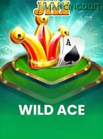 Wild Ace banner